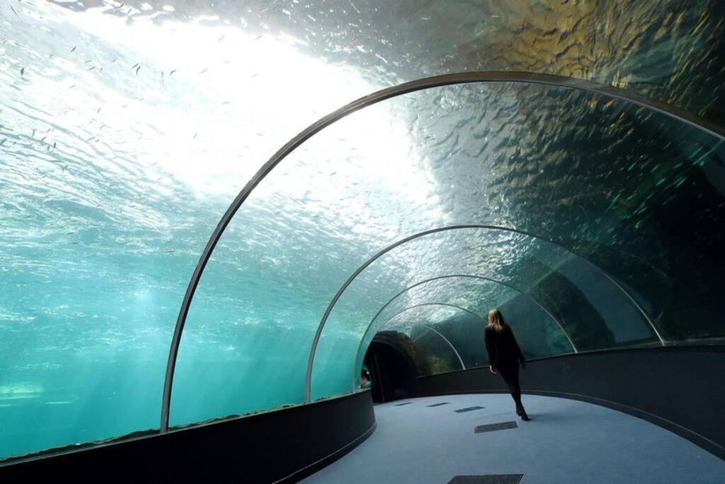 La Perle Marine :Boulogne Sur Mer 外观 照片