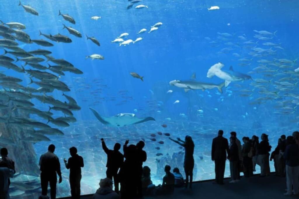 La Perle Marine :Boulogne Sur Mer 外观 照片